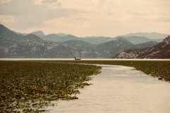 Skadar Lake - Monténégro